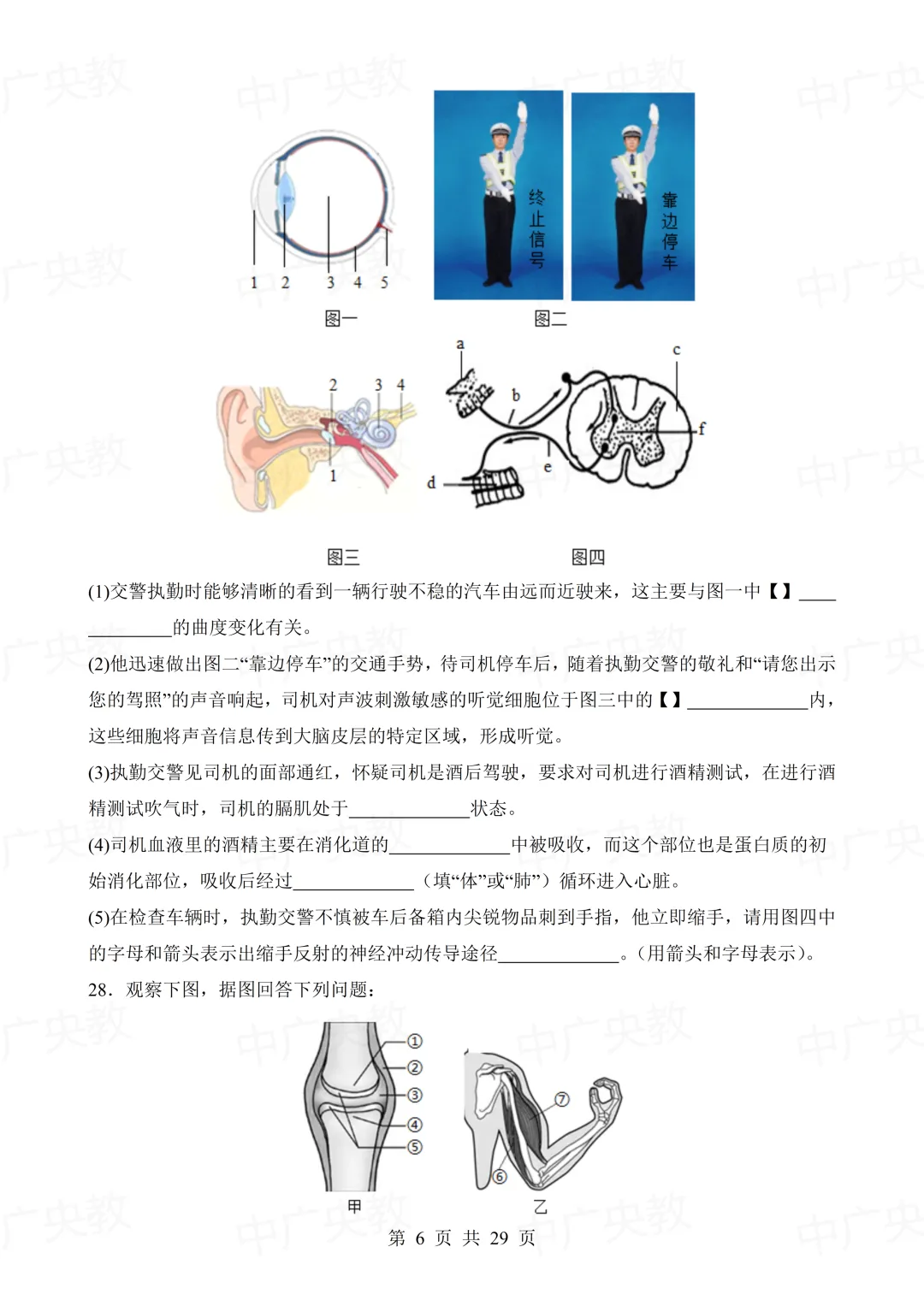 干货分享 | 中考生物模拟卷+答案-第7张图片-四季读书网