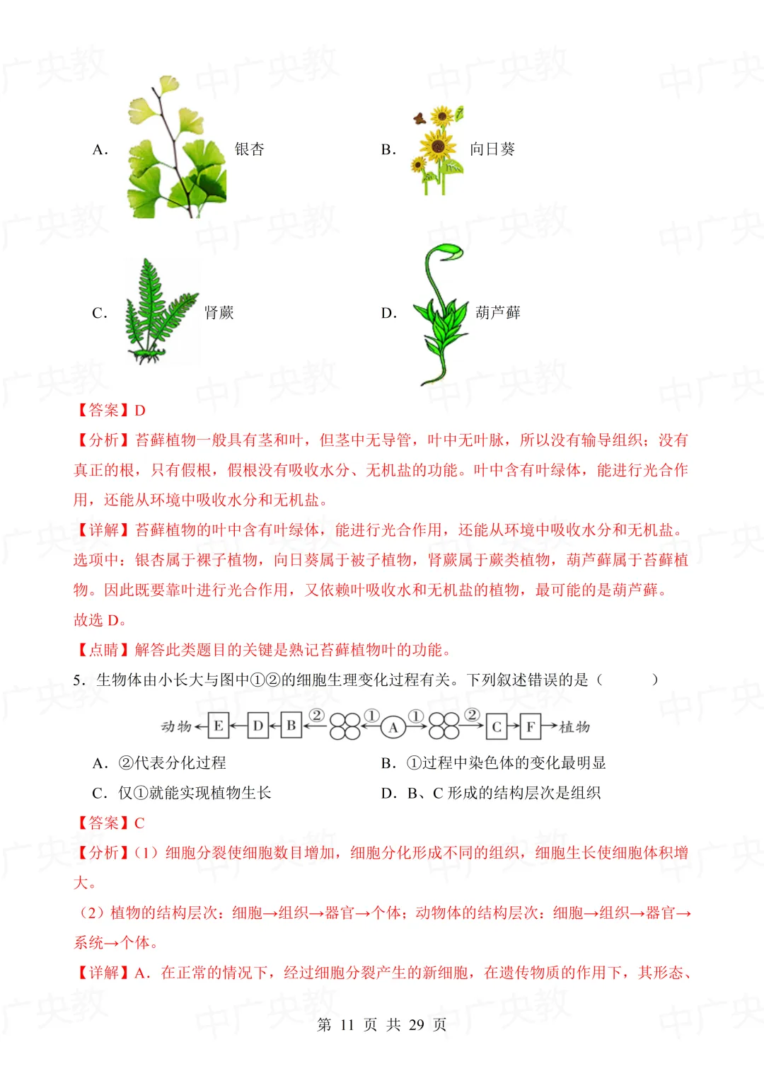 干货分享 | 中考生物模拟卷+答案-第12张图片-四季读书网