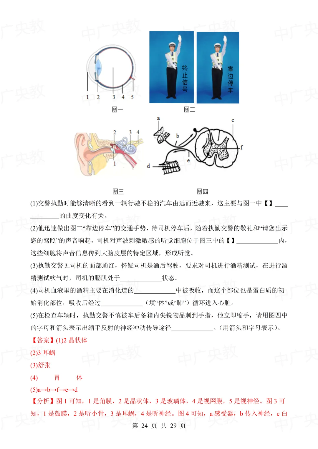 干货分享 | 中考生物模拟卷+答案-第25张图片-四季读书网