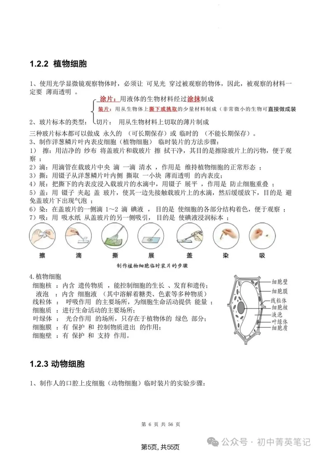 【2026】中考生物知识点清单梳理(全四册)-第5张图片-四季读书网