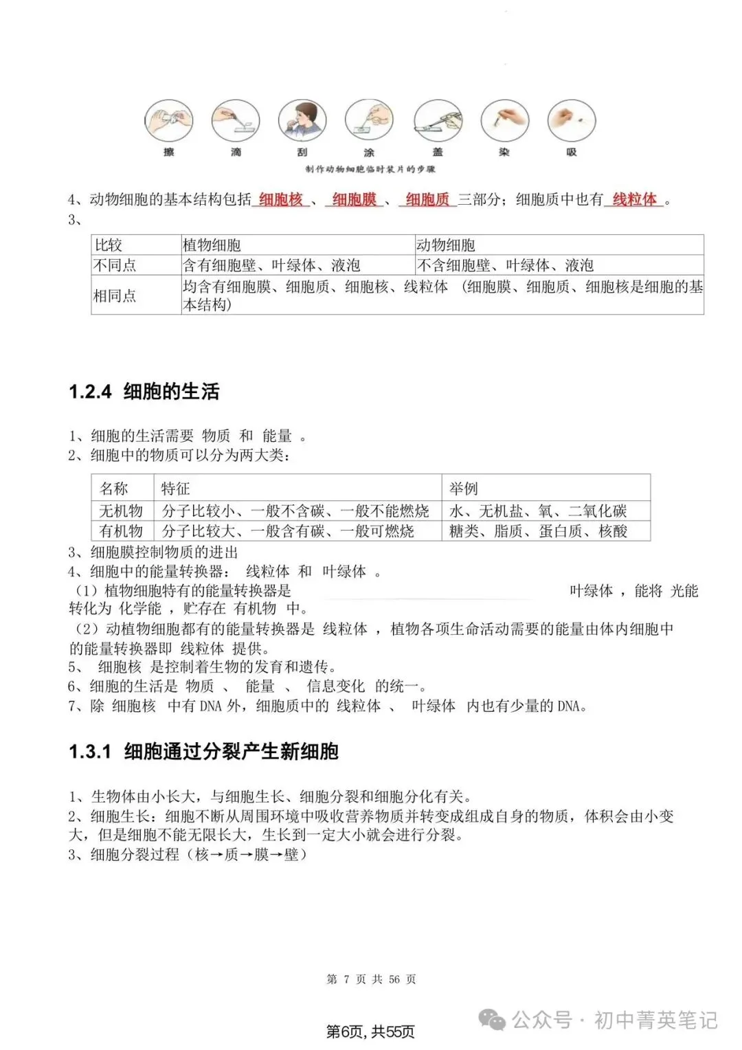 【2026】中考生物知识点清单梳理(全四册)-第6张图片-四季读书网