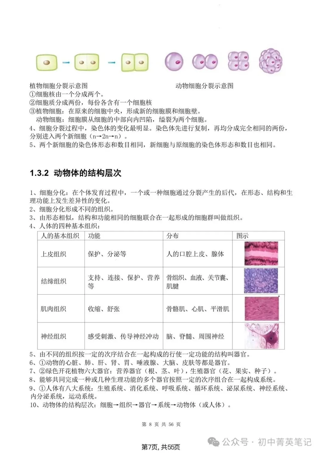 【2026】中考生物知识点清单梳理(全四册)-第7张图片-四季读书网