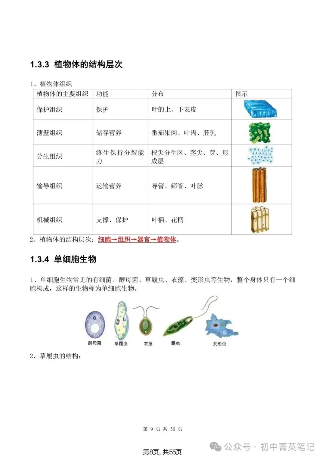 【2026】中考生物知识点清单梳理(全四册)-第8张图片-四季读书网