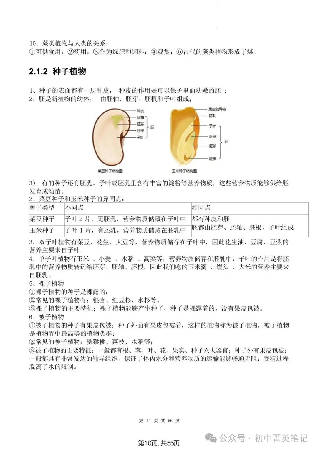【2026】中考生物知识点清单梳理(全四册)-第9张图片-四季读书网