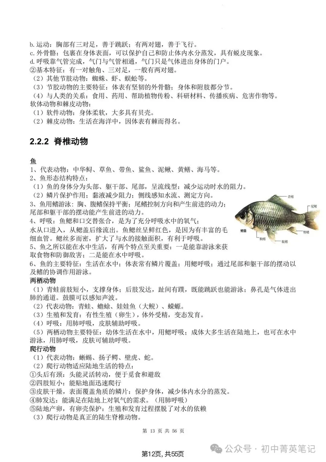 【2026】中考生物知识点清单梳理(全四册)-第11张图片-四季读书网