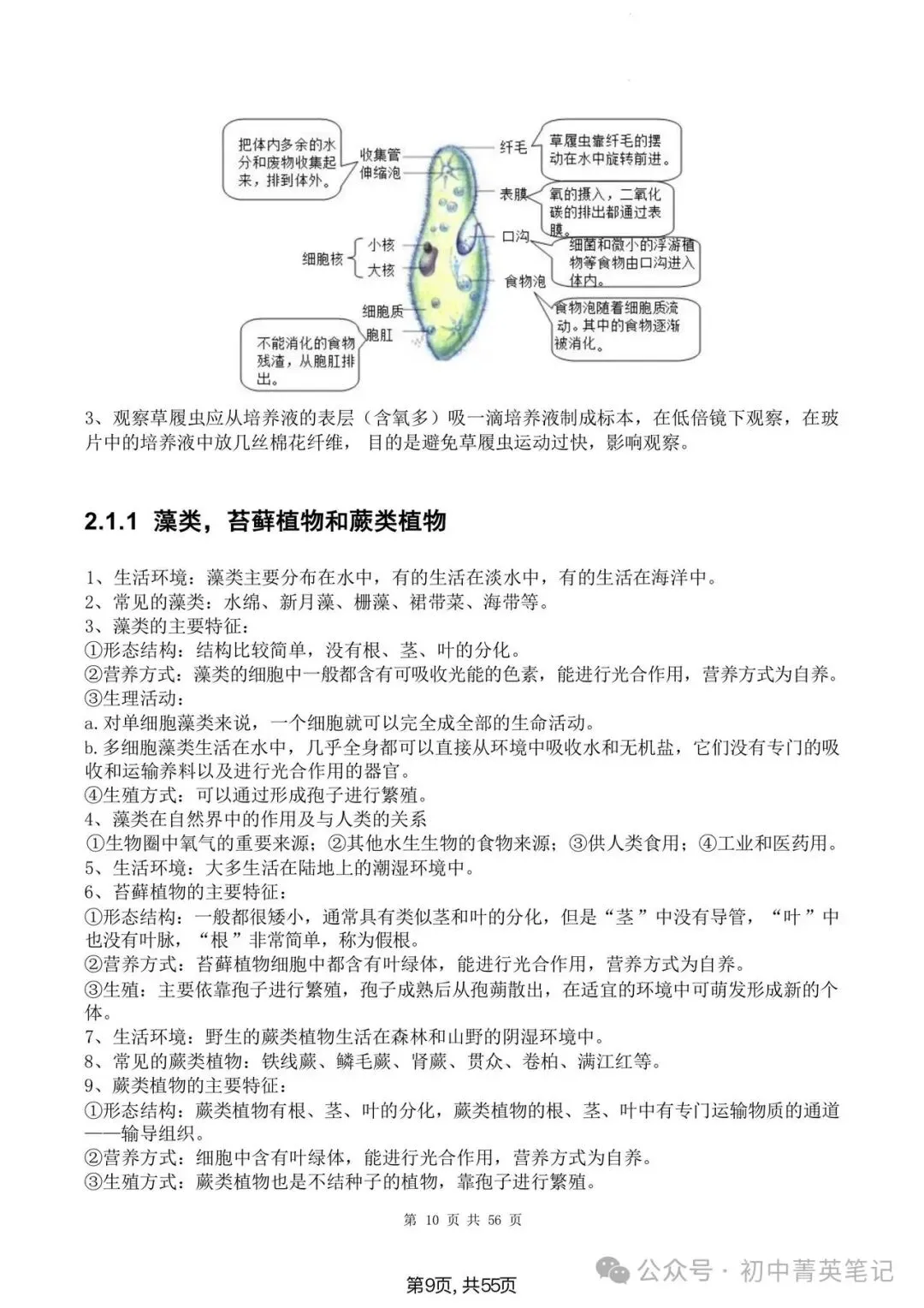 【2026】中考生物知识点清单梳理(全四册)-第15张图片-四季读书网