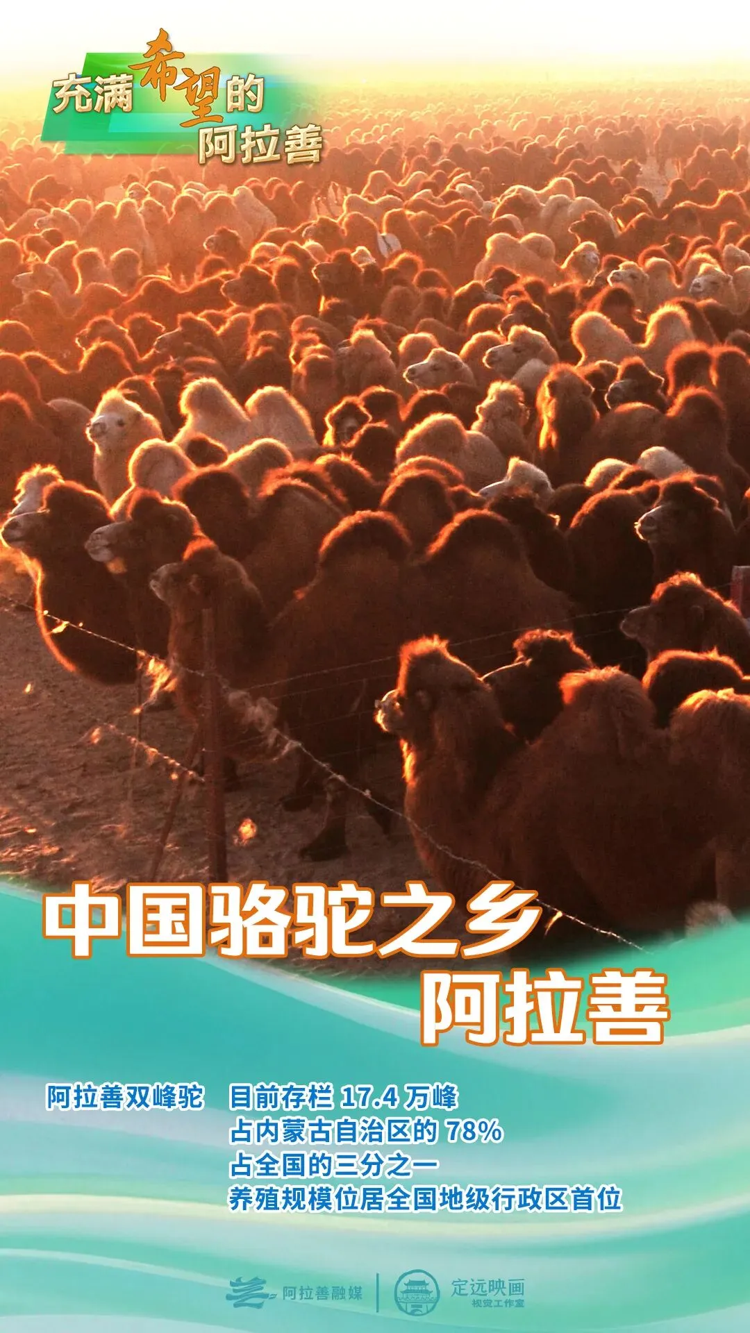 黄雅丽、白海林调研高考中考备考情况-第4张图片-四季读书网