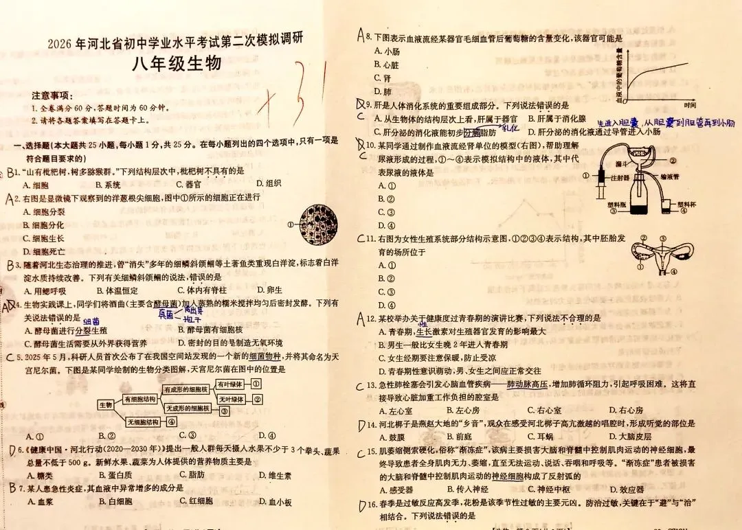 2026年河北省初中学业水平考试第二次模拟教研 八年级生物答案(含部分注解)-第1张图片-四季读书网