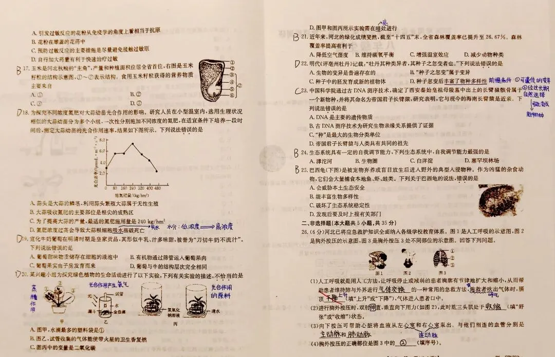 2026年河北省初中学业水平考试第二次模拟教研 八年级生物答案(含部分注解)-第2张图片-四季读书网