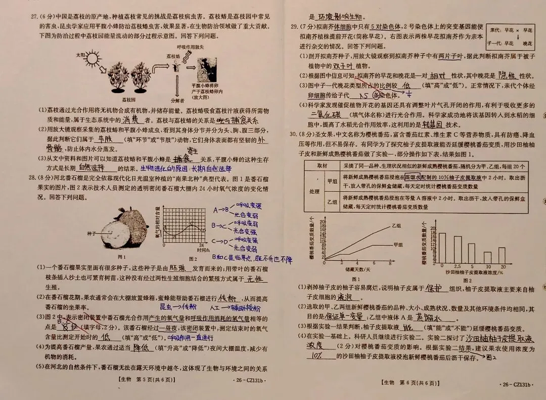 2026年河北省初中学业水平考试第二次模拟教研 八年级生物答案(含部分注解)-第3张图片-四季读书网