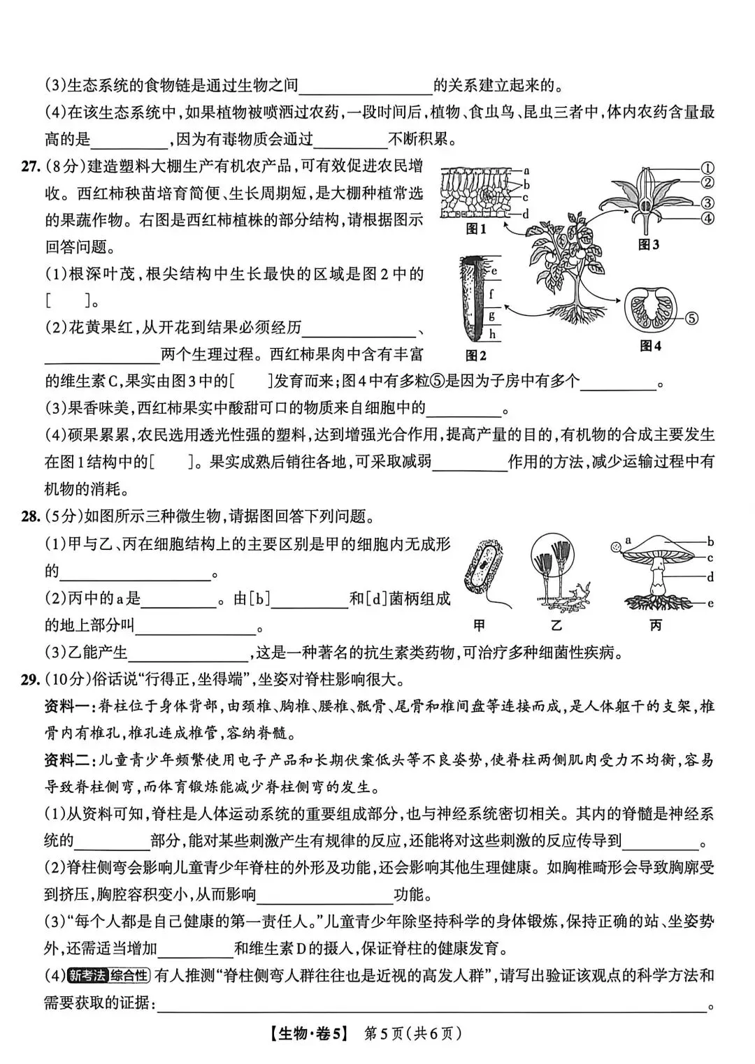 2025年湖南省初中学业水平考试模拟联考卷-第5张图片-四季读书网