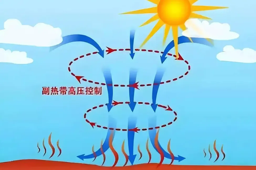 皖江资讯:无为今年高考6274人中考8274人;无为禁放＂孔明灯＂!无为市开展科技周活动;安徽警方通报;超级厄尔尼诺被预警:超40度常态?-第13张图片-四季读书网
