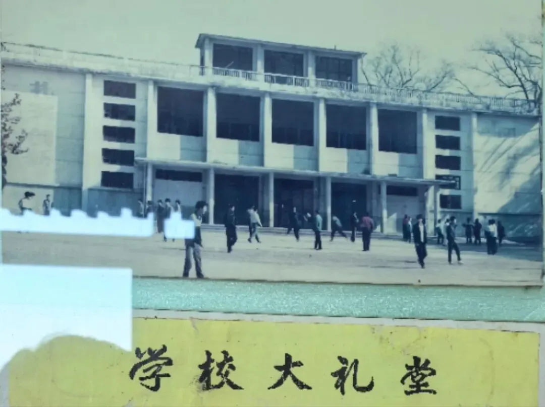泰中往事53--模考状元685,实战录取985!2001年高考(10)-第3张图片-四季读书网