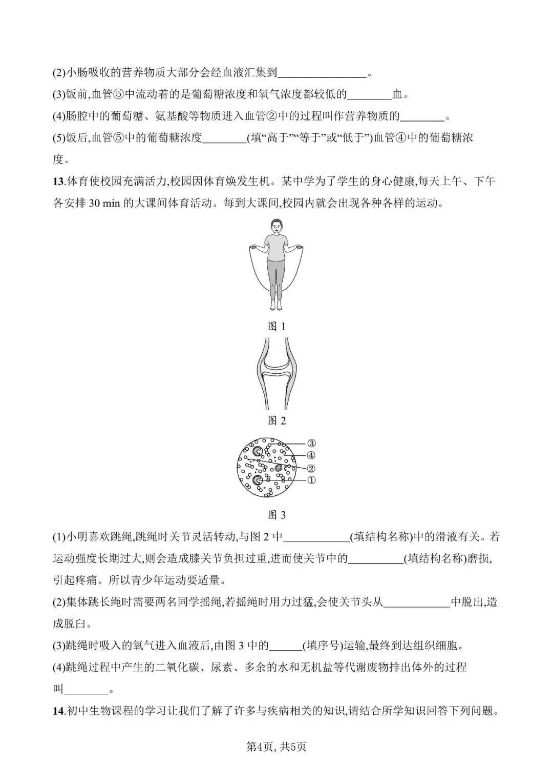 【生物模拟】2026年安徽省初中生物毕业学业水平考试模拟测试(一)和(二)-第4张图片-四季读书网