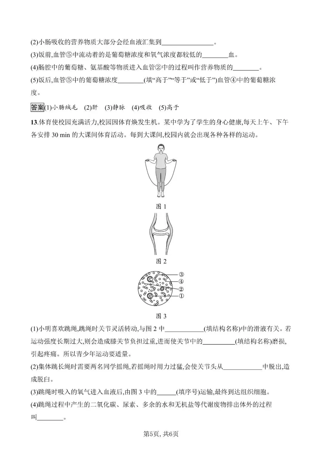 【生物模拟】2026年安徽省初中生物毕业学业水平考试模拟测试(一)和(二)-第10张图片-四季读书网