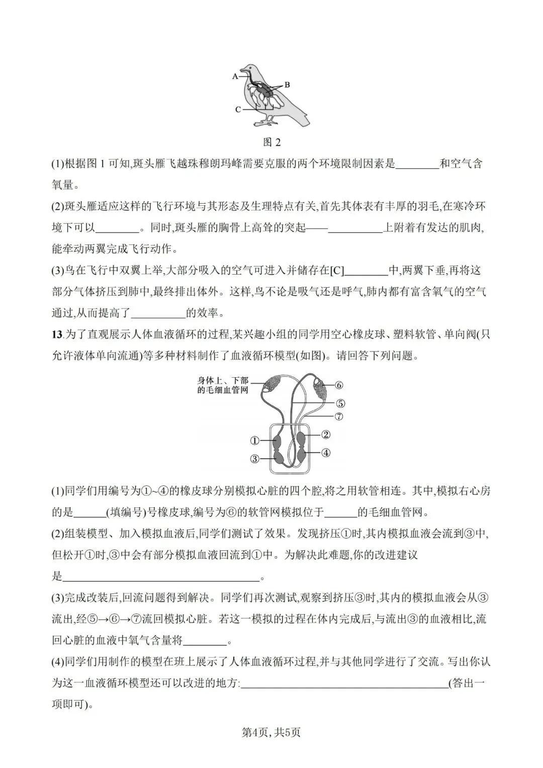 【生物模拟】2026年安徽省初中生物毕业学业水平考试模拟测试(一)和(二)-第15张图片-四季读书网
