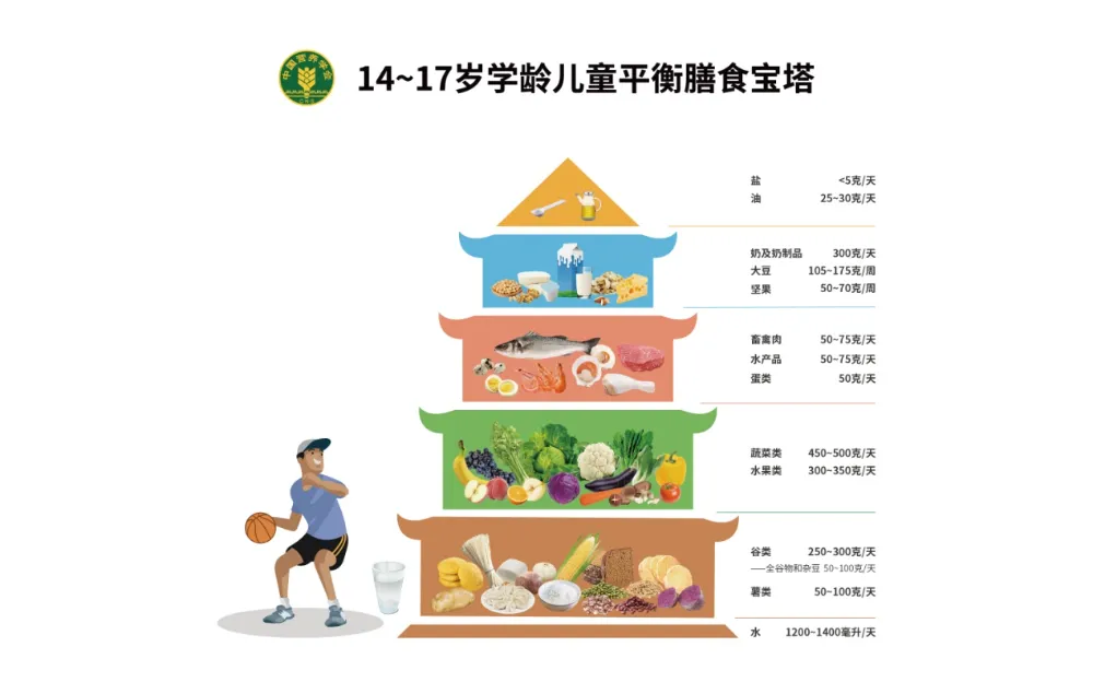 高、中考饮食一篇通-第1张图片-四季读书网