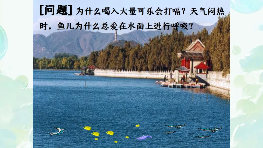 E65 二轮专题复习 决胜中考2026 优质课资源包 初中化学《专题复习---溶解度曲线》课件PPT+教学设计Word-第8张图片-四季读书网