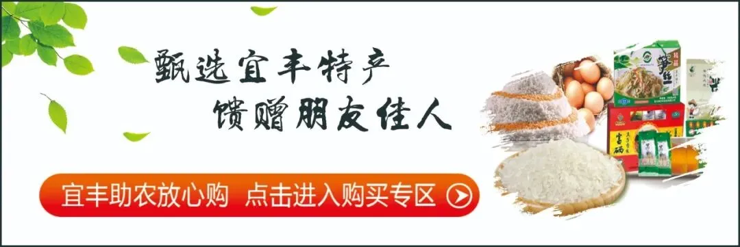 重要公告!有关中考…-第4张图片-四季读书网