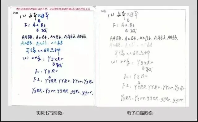 网阅试卷的真面目-第12张图片-四季读书网