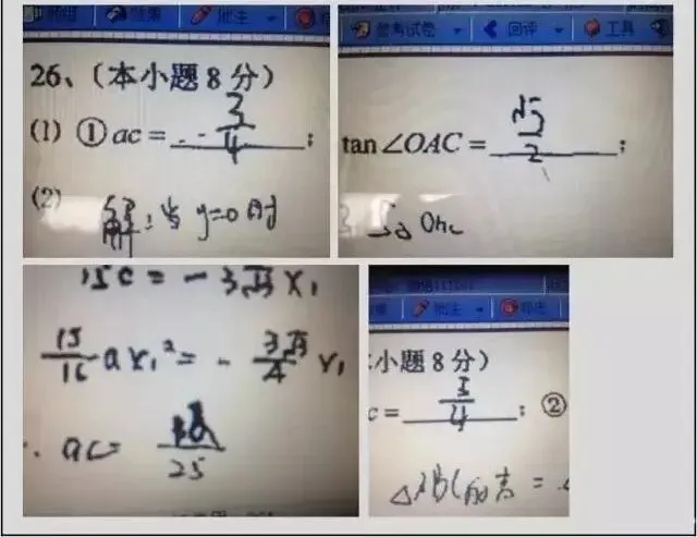 网阅试卷的真面目-第24张图片-四季读书网