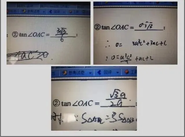 网阅试卷的真面目-第26张图片-四季读书网