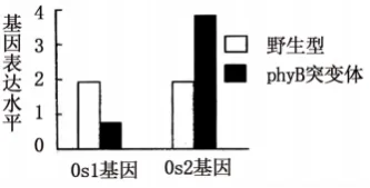 哈三中2026年高三学年第四次模拟考试生物学试题和答案(附word下载) ⊙-第8张图片-四季读书网