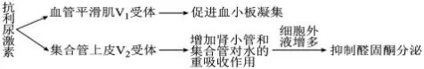 哈三中2026年高三学年第四次模拟考试生物学试题和答案(附word下载) ⊙-第10张图片-四季读书网