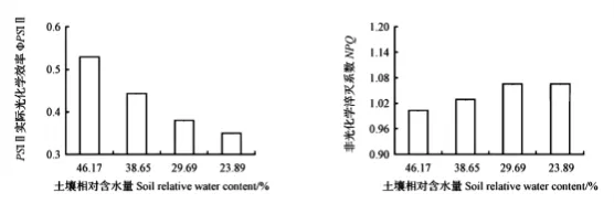 哈三中2026年高三学年第四次模拟考试生物学试题和答案(附word下载) ⊙-第14张图片-四季读书网