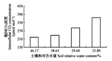 哈三中2026年高三学年第四次模拟考试生物学试题和答案(附word下载) ⊙-第16张图片-四季读书网