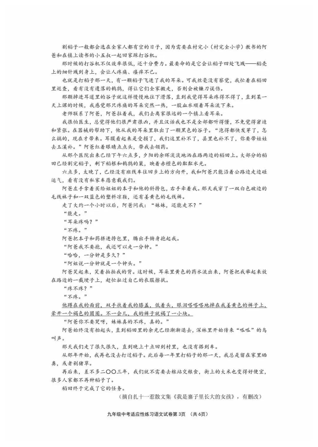2026年绍兴柯桥区中考语文二模试题【含解析】-第5张图片-四季读书网