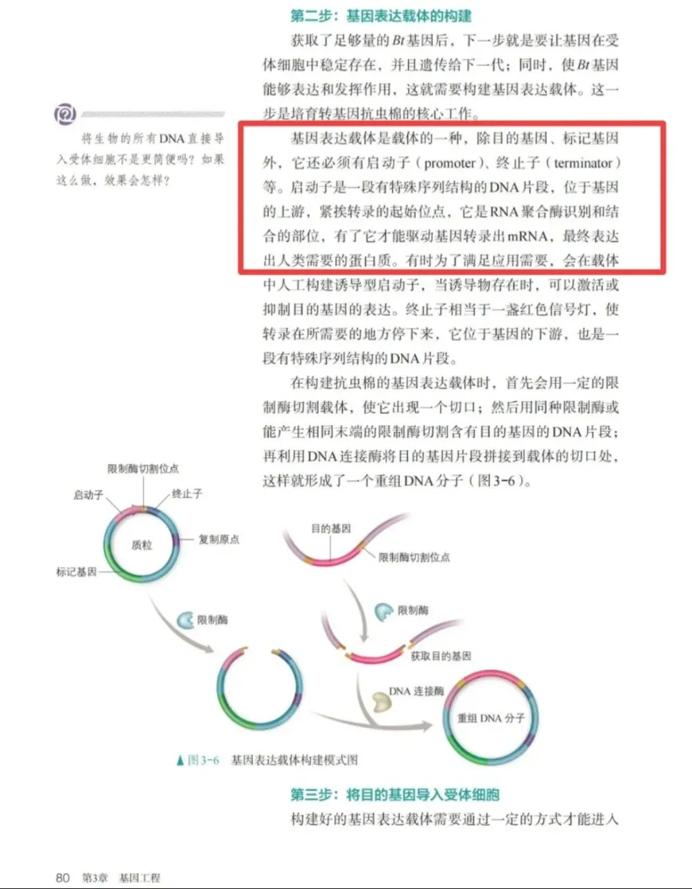 【真题再现】山东卷25题基因工程历年真题重温-第16张图片-四季读书网