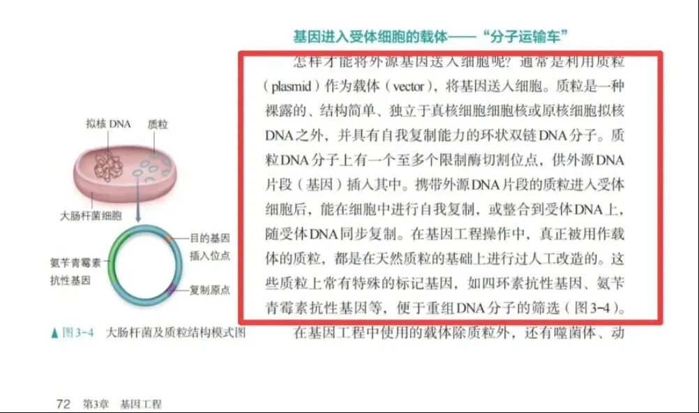 【真题再现】山东卷25题基因工程历年真题重温-第17张图片-四季读书网