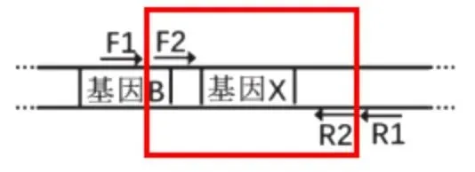 【真题再现】山东卷25题基因工程历年真题重温-第22张图片-四季读书网