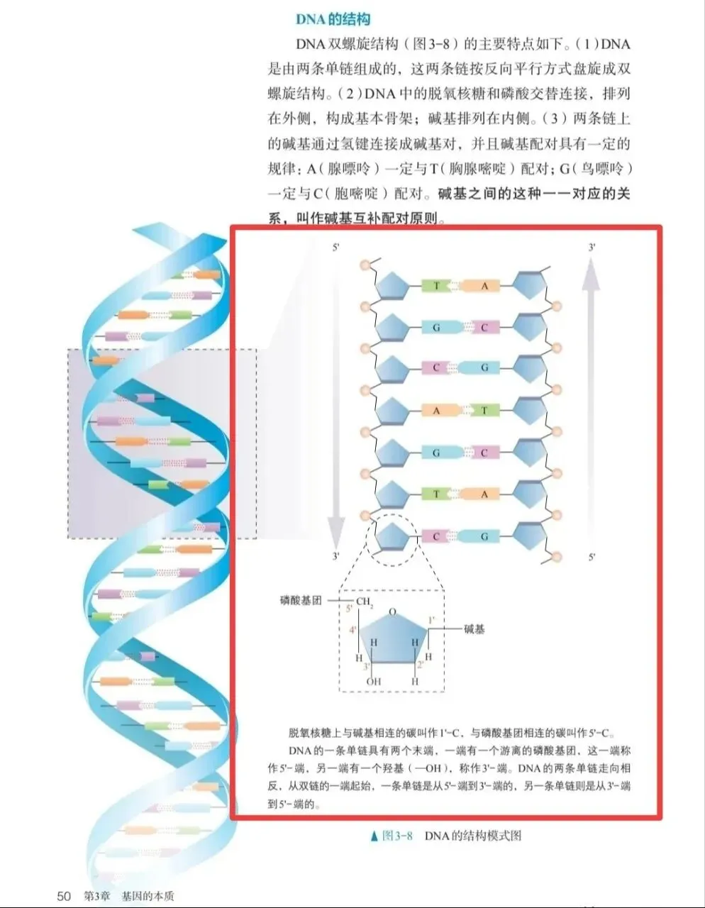 【真题再现】山东卷25题基因工程历年真题重温-第27张图片-四季读书网