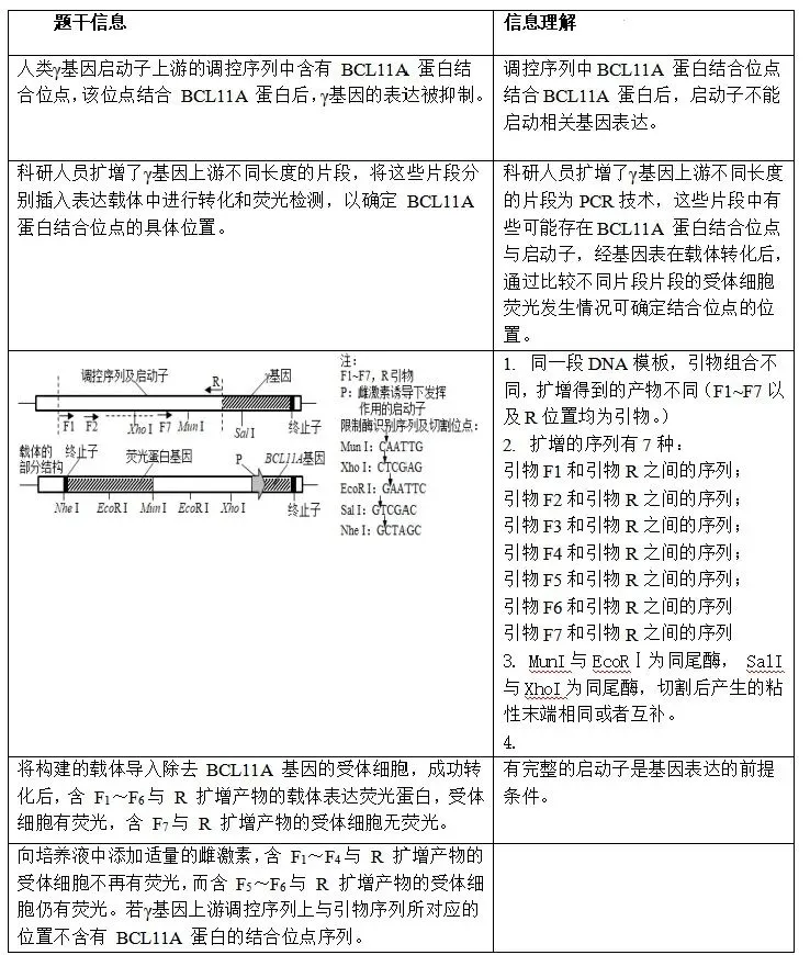 【真题再现】山东卷25题基因工程历年真题重温-第31张图片-四季读书网