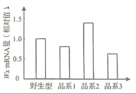 【真题再现】山东卷25题基因工程历年真题重温-第33张图片-四季读书网