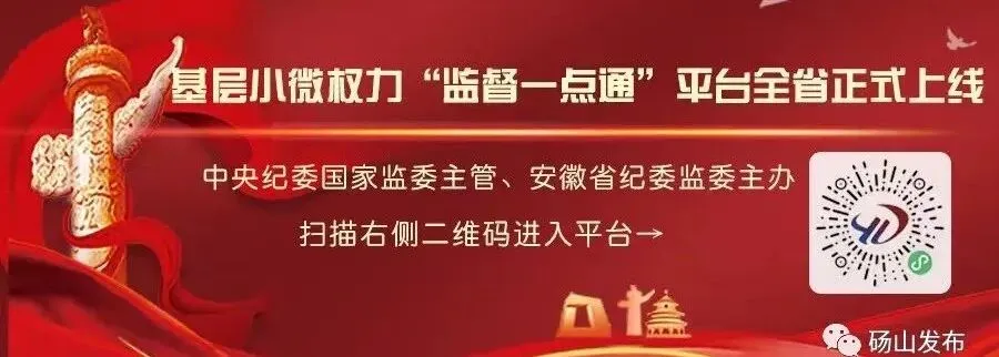 “3+4”“3+2+2” 事关中考!安徽启动培养试点-第10张图片-四季读书网