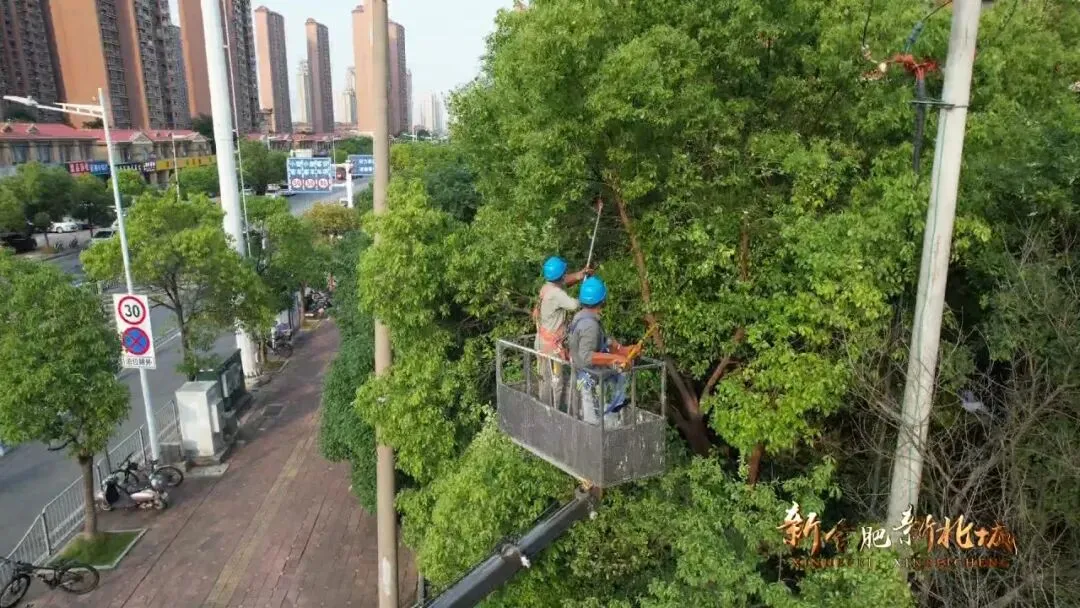 长丰:全力以“护” 答好高中考电力“保供卷”-第4张图片-四季读书网