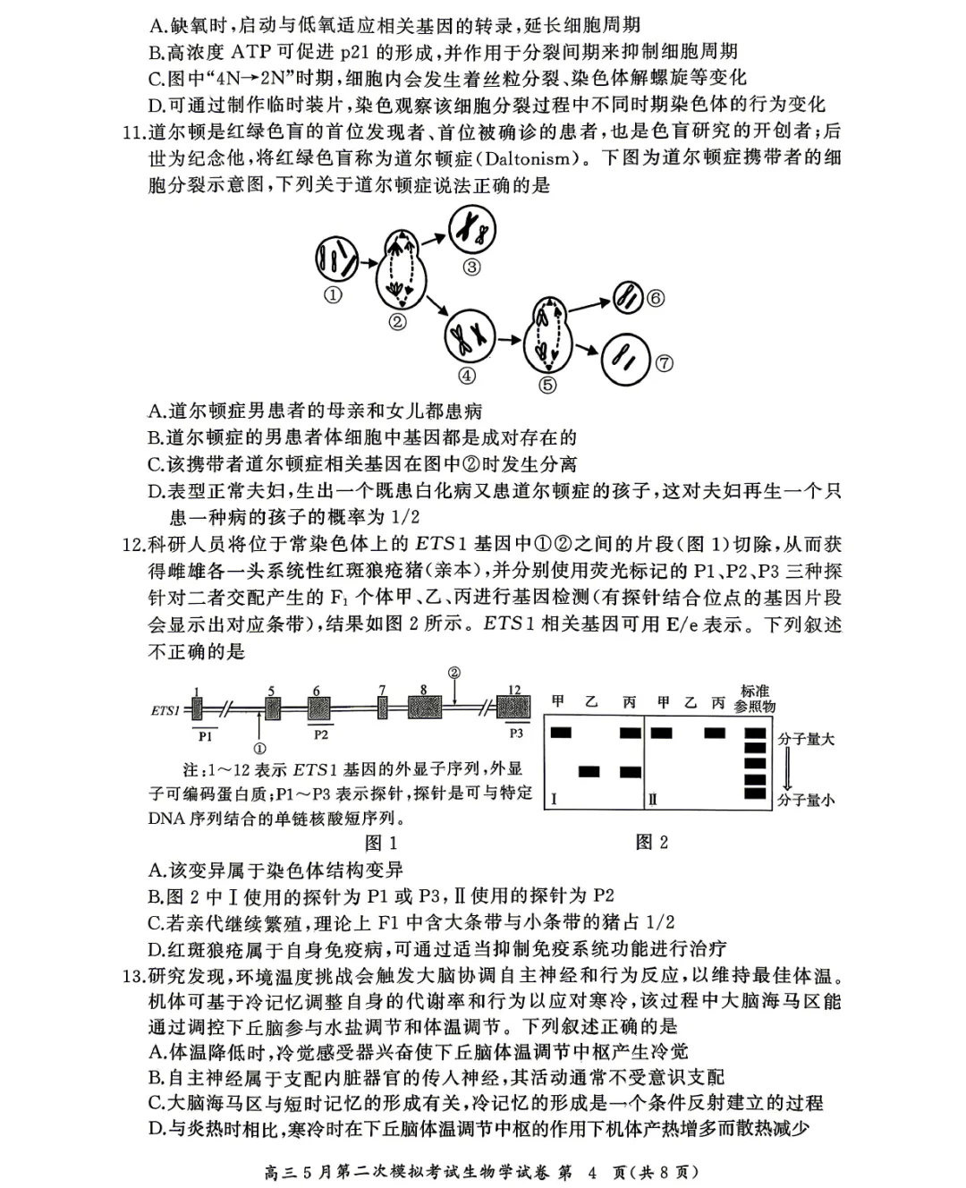 2026届湖北省高三5月第二次模拟考试生物学试题及答案-第6张图片-四季读书网