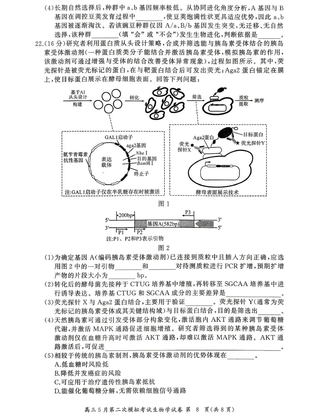 2026届湖北省高三5月第二次模拟考试生物学试题及答案-第10张图片-四季读书网