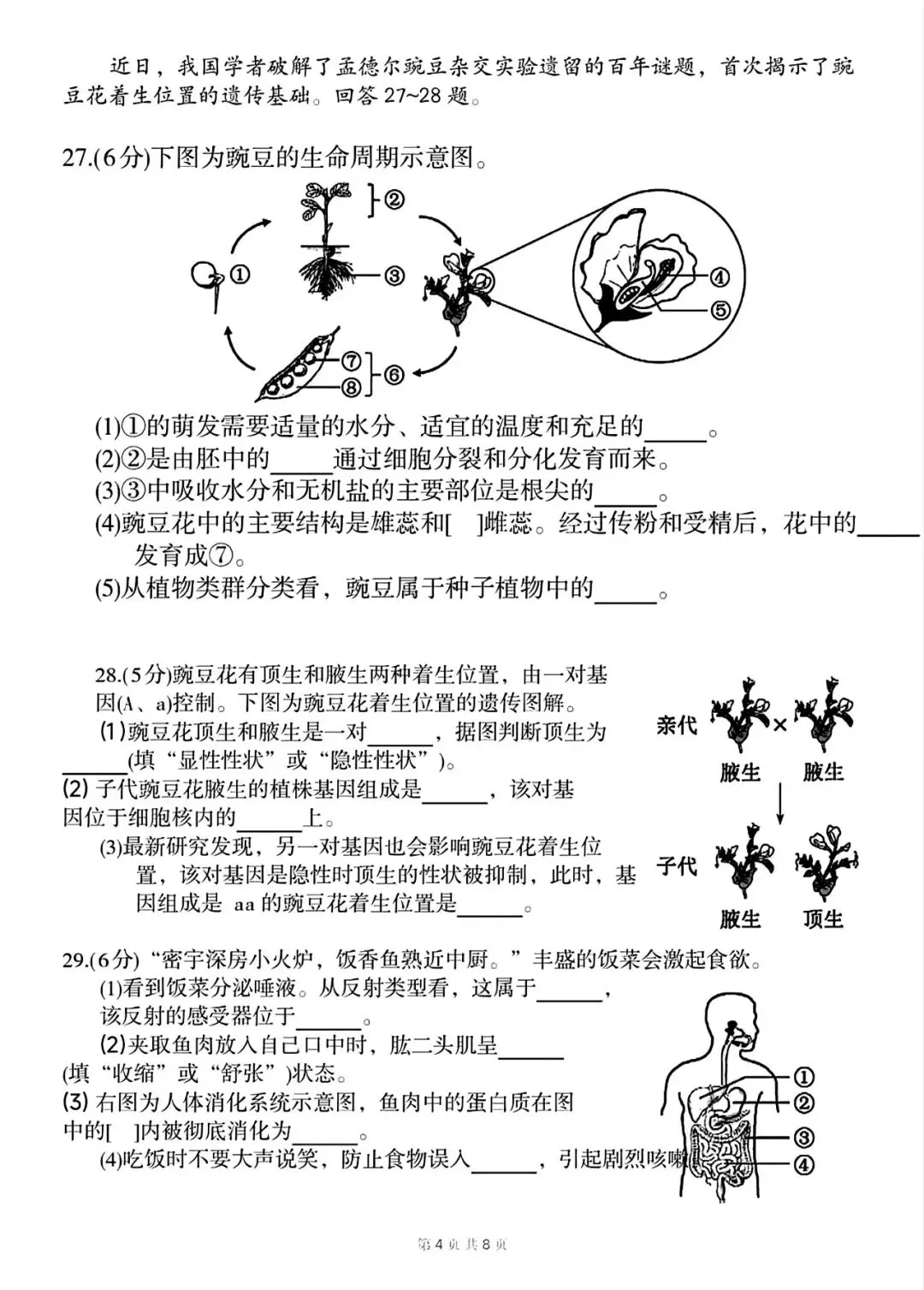 【2013-2025年】福建省历年中考真题初中学业水平考试试题卷及答案汇总(免费下载打印)-第4张图片-四季读书网