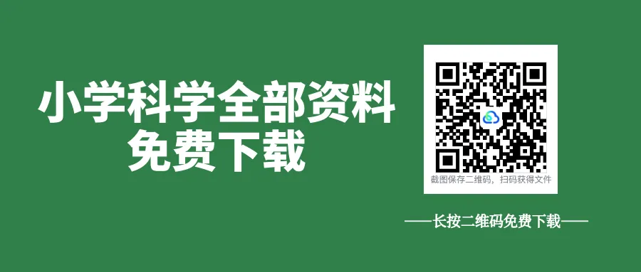 6套教科版小学科学六年级下册期末试卷(word版)-第1张图片-四季读书网