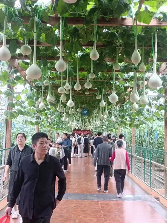26真题:对“浦江经验”的理解-第1张图片-四季读书网