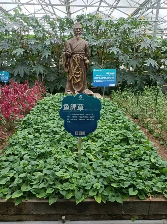 26真题:对“浦江经验”的理解-第4张图片-四季读书网