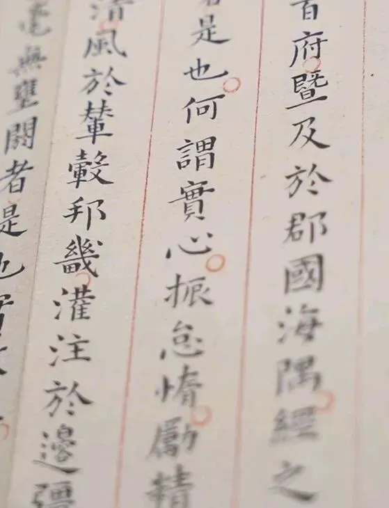 明状元青州人赵秉忠殿试卷-第4张图片-四季读书网