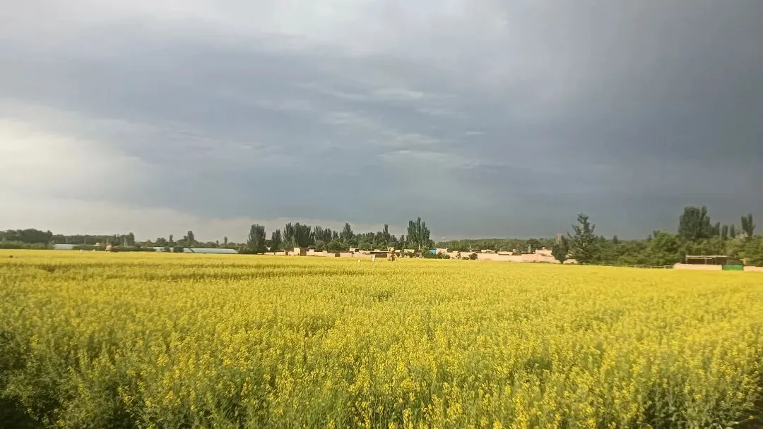 压垮孩子的从不是试卷,而是父母随口的几句叮嘱-第1张图片-四季读书网