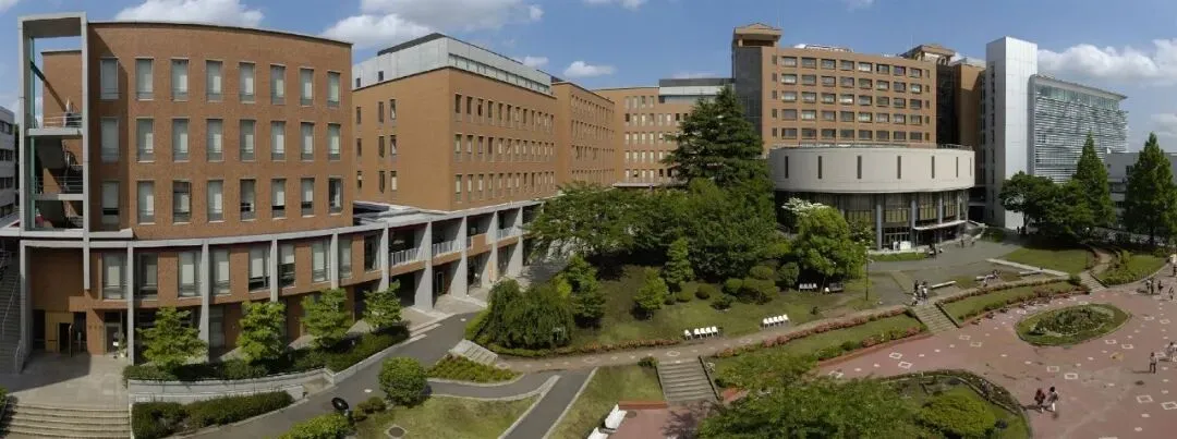 从小抵抗数学,深圳中考 260 分逆袭东京老牌大学-第20张图片-四季读书网