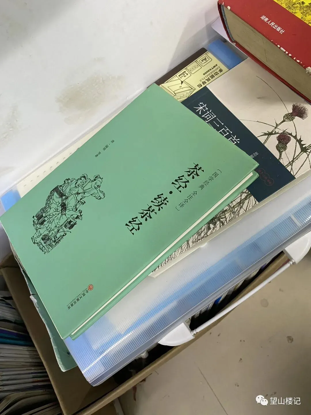 高三模拟考的夹缝间的一束光-第2张图片-四季读书网