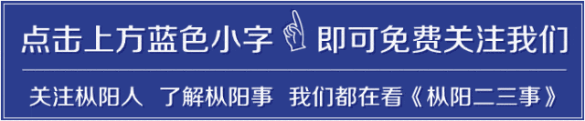 枞阳加大流浪犬只捕捉力度,全力护航高、中考!-第1张图片-四季读书网